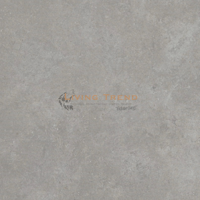 Living Trend Cement Cold Grey - Industriële Matte Porseleinen Vloertegel, 60 x 60 cm