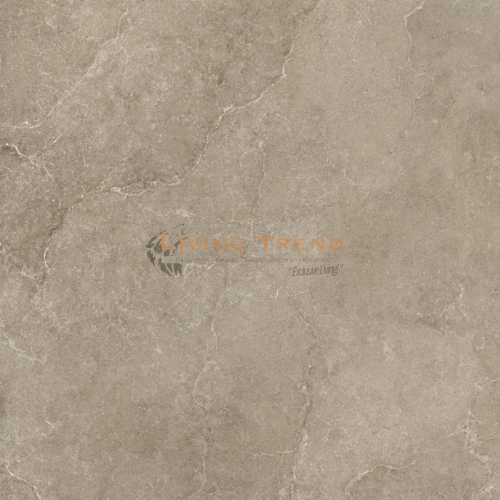 Living Trend Downton Brown - Vloer- en Wandtegel, 60 x 60 cm