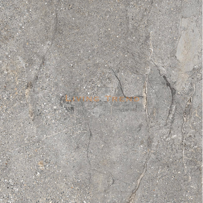 Living Trend Milestone Grijs - Vloer- en Wandtegel, 60 x 120 cm